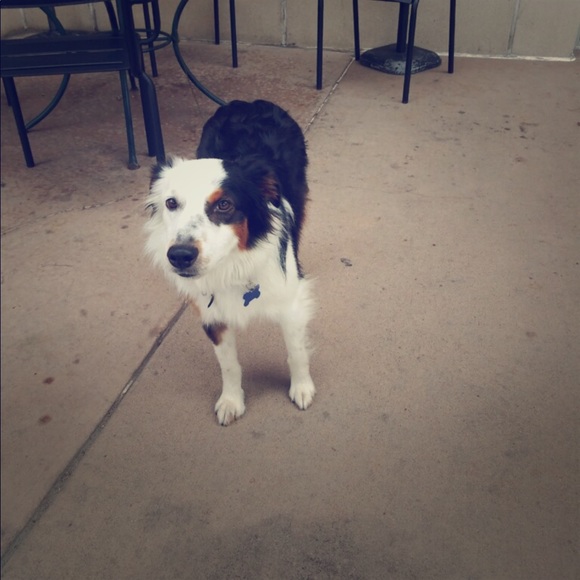 Meet your Posher, Ruth - Picture 1 of 6